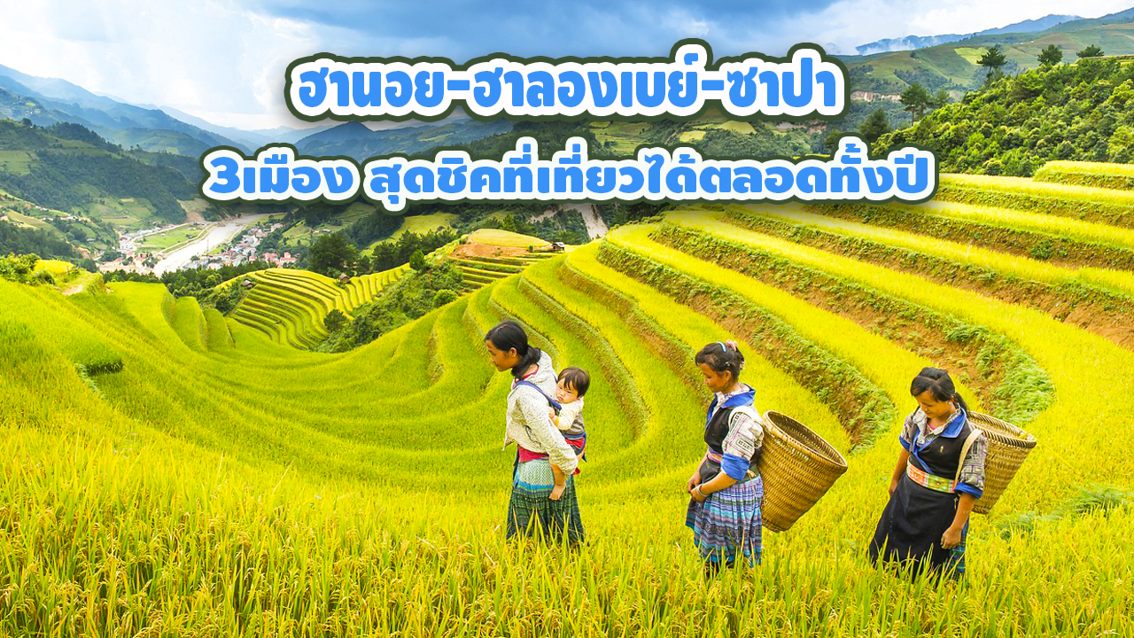 เวียดนามเหนือ ฮานอย-ฮาลองเบย์-ซาปา  3 เมืองสุดชิคที่เที่ยวได้ตลอดทั้งปี
